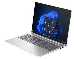 Laptop HP EliteBook 6 G1i 14, 14 inch 1920 x 1200, Intel Core Ultra 5 225H (14 C / 14 T, N/A - 4.9 GHz, 18 MB cache, 28 W), 16 GB DDR5, 512 GB SSD, Intel Arc 130T, Windows 11 Pro, Tastatura US International, Pike Silver