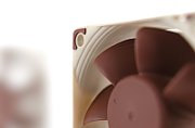 Ventilator Noctua NF-A6X25 PWM 5V ,60 x 60 x 25 mm ,3000 rpm ,Maro + bej