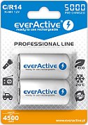 Rechargeable batteries everActive Ni-MH R14 C 5000 mAh Professional Line