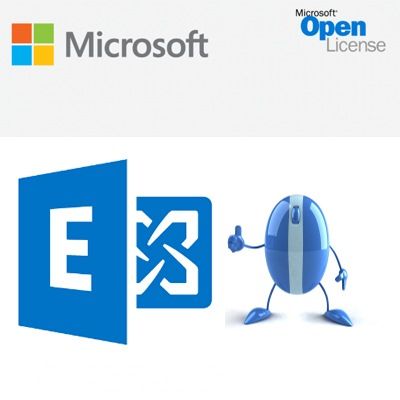 MS OVL Exchange Svr Std Lic/SA ADD 1Y3Y [NL]