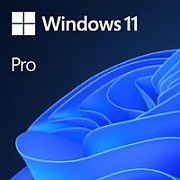 MS Windows 11 PRO [MUI] ESD