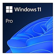 Licenta retail Microsoft Windows 11 Pro 32-bit/64-bit Romanian USB