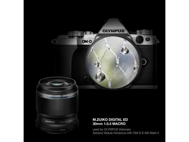 Olympus M.ZUIKO DIGITAL ED 30mm 1:3.5 Macro / EM-M3035 BLK