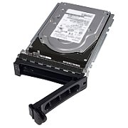 HDD server Dell 161-BBPH 4 TB 3.5 inch SAS 12G 7200 rpm 512n, caddy DELL G14 LFF