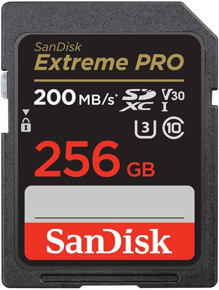Micro Secure Digital Card SanDisk, 256GB, Clasa 10, Reading speed: 90MB/s