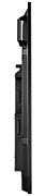 SMQ-6501 64.5IN 4K UHD IPS/3840X2160 1200:1 400CD/M2 5 MS