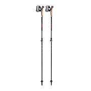LEKI KIJE Nordic Walking Instructor Lite red