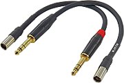 MIC 2XBC-BN/100