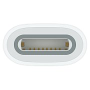 USB-C TO APPLE PENCIL ADAPTER/FOR APPLE PENCIL 1