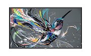 Monitor 42.5 inch Philips 43BDL3511Q/00 3840 x 2160