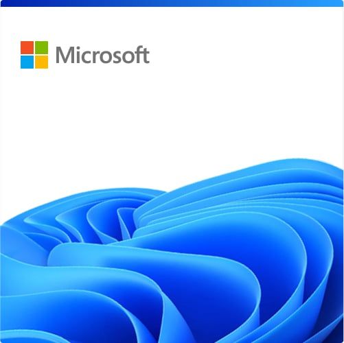 CSP Windows 11 IoT Enterprise LTSC 2024 [P]