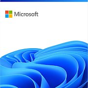 CSP Windows 11 IoT Enterprise LTSC 2024 [P]