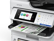 EPSON WorkForce Pro EM-C800RDWF cod C11CK19401 model nou inlocuitor pentru EPSON WorkForce Pro WF-C579RDWF - C800RDWF are toate specificatiile modelului vechi ) 
 
alimentare hartie 330 Coli (tava 1 multifunctionala de 80 Coli + tava 2 de 250 Coli)