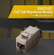 DIGITUS Keystone Jack Cat6A geschirmt Kabelmanager Set 24 St