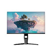 Gaming monitor 27  QHD  180 Hz