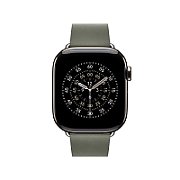 Apple Watch 42mm Modern Buckle: Sage Gray Modern Buckle - Large