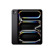 IPAD PRO 11 WIFI 256GB STD/SPACE BLACK