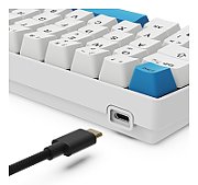 Sharkoon Skiller SGK50 S4 Gen2 Gaming Keyboard