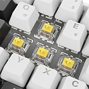 Sharkoon Gaming Keyboard Skiller SGK50S4 RGB