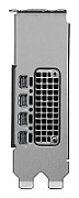Placa video PNY RTX PRO 2000 Blackwell Smallbox 16 GB GDDR7 ECC 128 bit