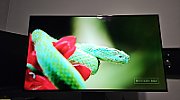 MONITOR 32  LG 32GX850A-B.AEU