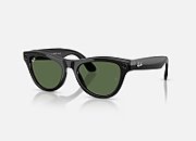 ORW4014 META SKYLER High Bridge Fit - Shinny Black - G-15 Green
