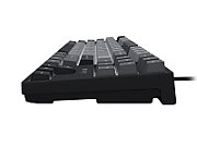Tastatura gaming mecanica cu fir Fury Kanabo K2 TKL (80%), iluminare, lungime cablu 160cm, gri-negru