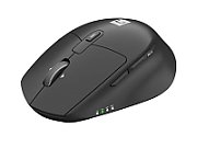 Mouse wireless Natec Kite, rezolutie maxima 400DPI, senzor Blue Sense, negru