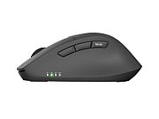 Mouse wireless Natec Kite, rezolutie maxima 400DPI, senzor Blue Sense, negru