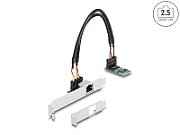 DELOCK Konverter M.2 Key B+M 1 x RJ45 2 5 Gigabit LAN
