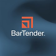Seagull BarTender 2022 Professional, workstation maintenance and support, 1 month