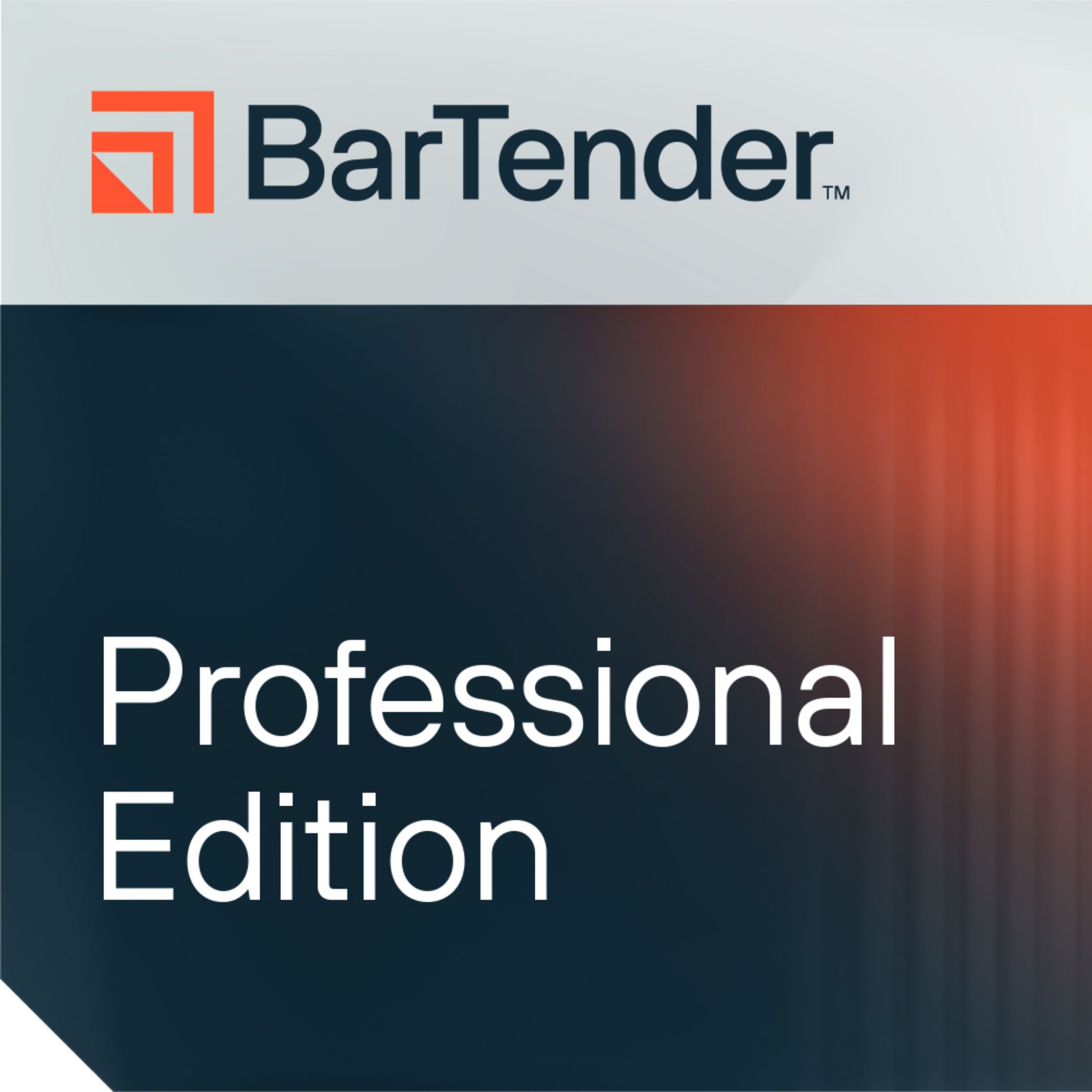Seagull BarTender 2022 Professional, workstation maintenance and support, 1 month