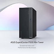 ASUS P500MV Core 3 100U 8GB 512GB NoOS